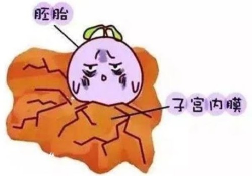 22个卵泡只取了9个的原因，跟质量关系不大